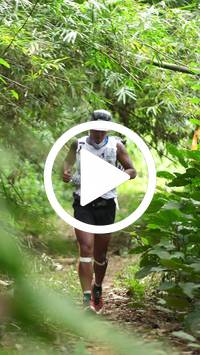 BIB:  <button type="button" onclick="openModal(26821243)" class="btn btn-primary btn-sm float-right" data-toggle="modal" data-target=".modal-high-quality">
                <i class="fa fa-download"></i> Download
                </button>